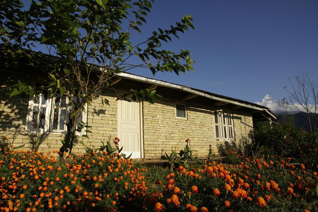 Annapurna Eco Village โพคารา ภายนอก รูปภาพ