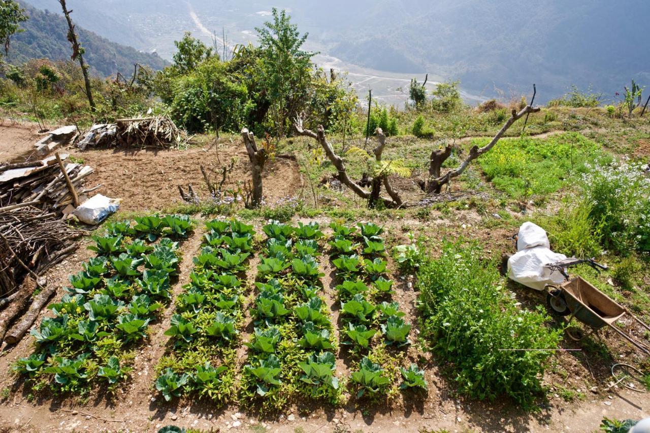 Annapurna Eco Village โพคารา ภายนอก รูปภาพ